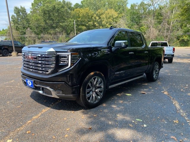 2026 Gmc Sierra 1500 Denali photo 3