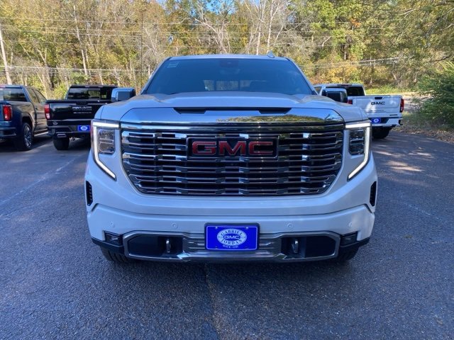 2023 Gmc Sierra 1500 Denali photo 2