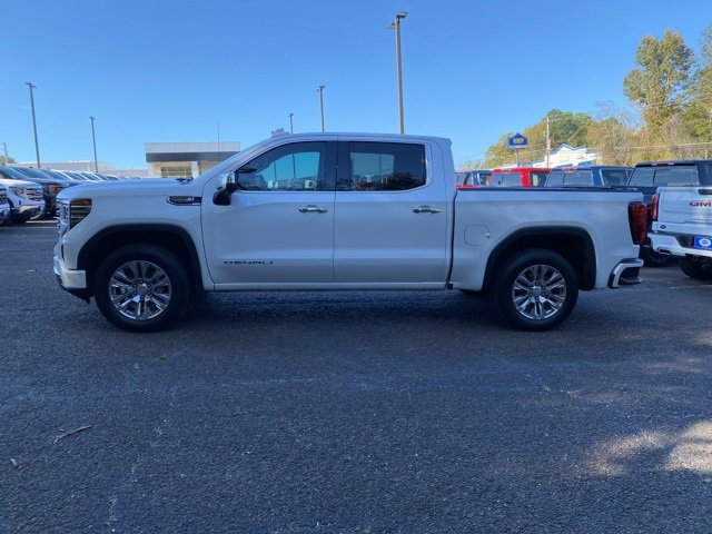 2023 Gmc Sierra 1500 Denali photo 4