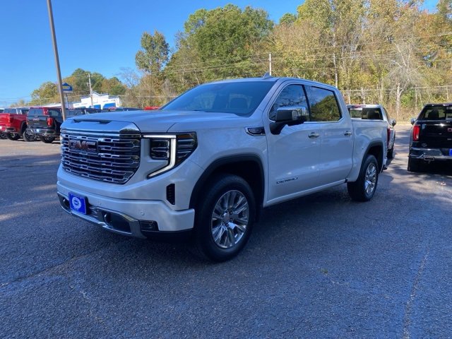 2023 Gmc Sierra 1500 Denali photo 3