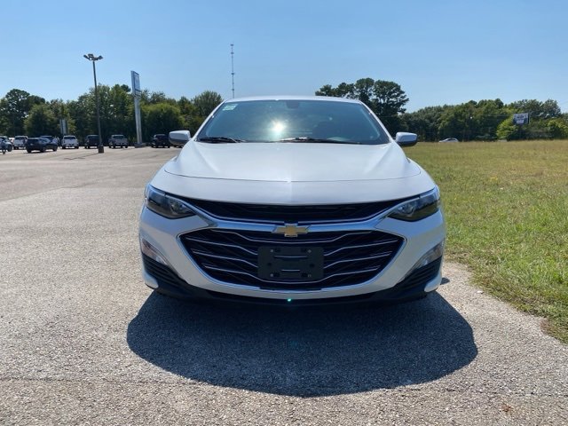 2019 Chevrolet Malibu 1LT photo 2