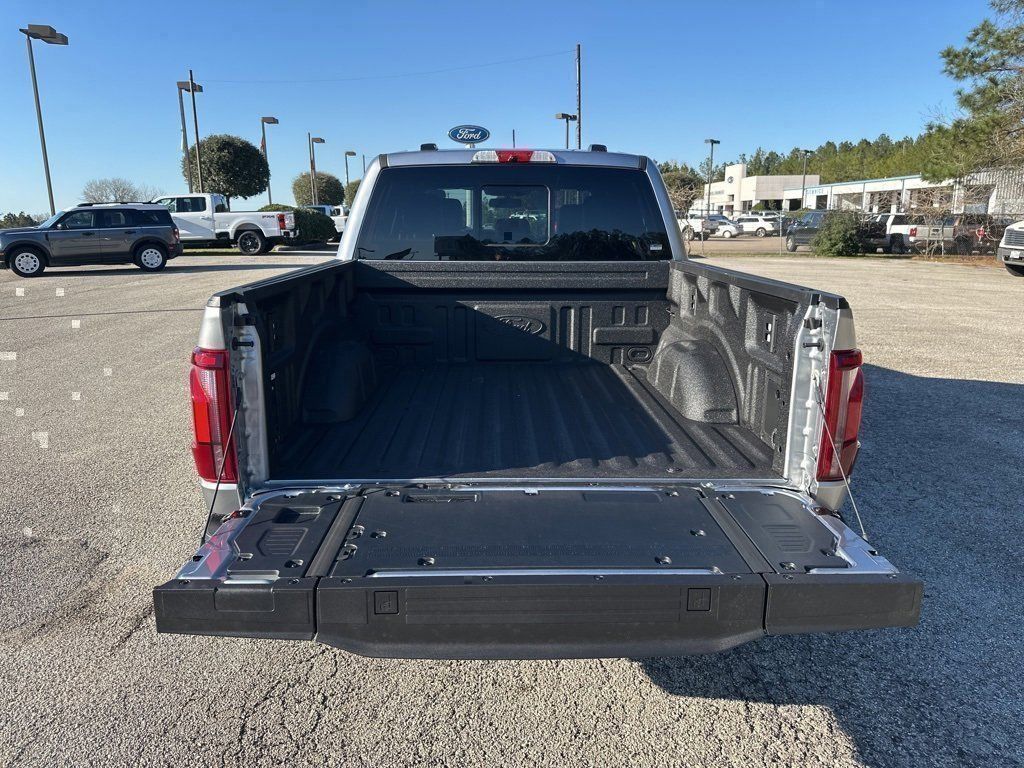 2025 Ford F-150 Platinum - Photo 9