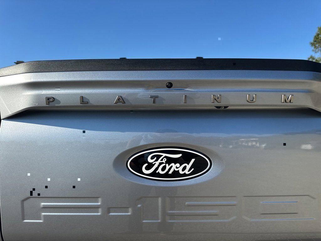 2025 Ford F-150 Platinum - Photo 16