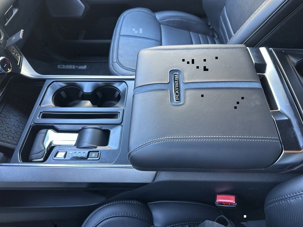 2025 Ford F-150 Platinum - Photo 64