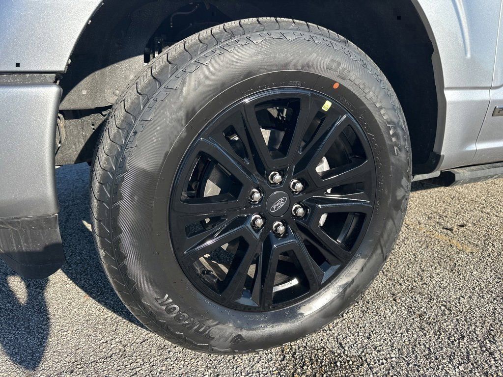 2025 Ford F-150 Platinum - Photo 19