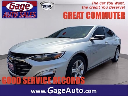 2020 Chevrolet Malibu LS Fleet Sedan