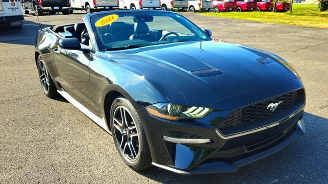 Used 2022 Ford Mustang EcoBoost Premium with VIN 1FATP8UH0N5102499 for sale in Smithville, TN