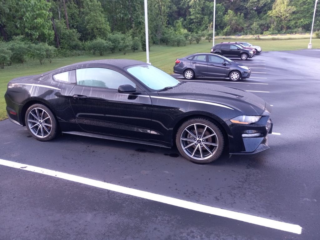 Used 2019 Ford Mustang EcoBoost with VIN 1FA6P8TH4K5118974 for sale in Galesburg, MI