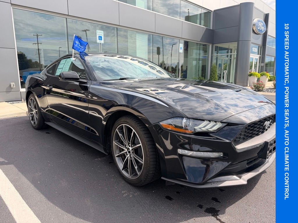 Certified 2019 Ford Mustang EcoBoost with VIN 1FA6P8TH4K5118974 for sale in Galesburg, MI