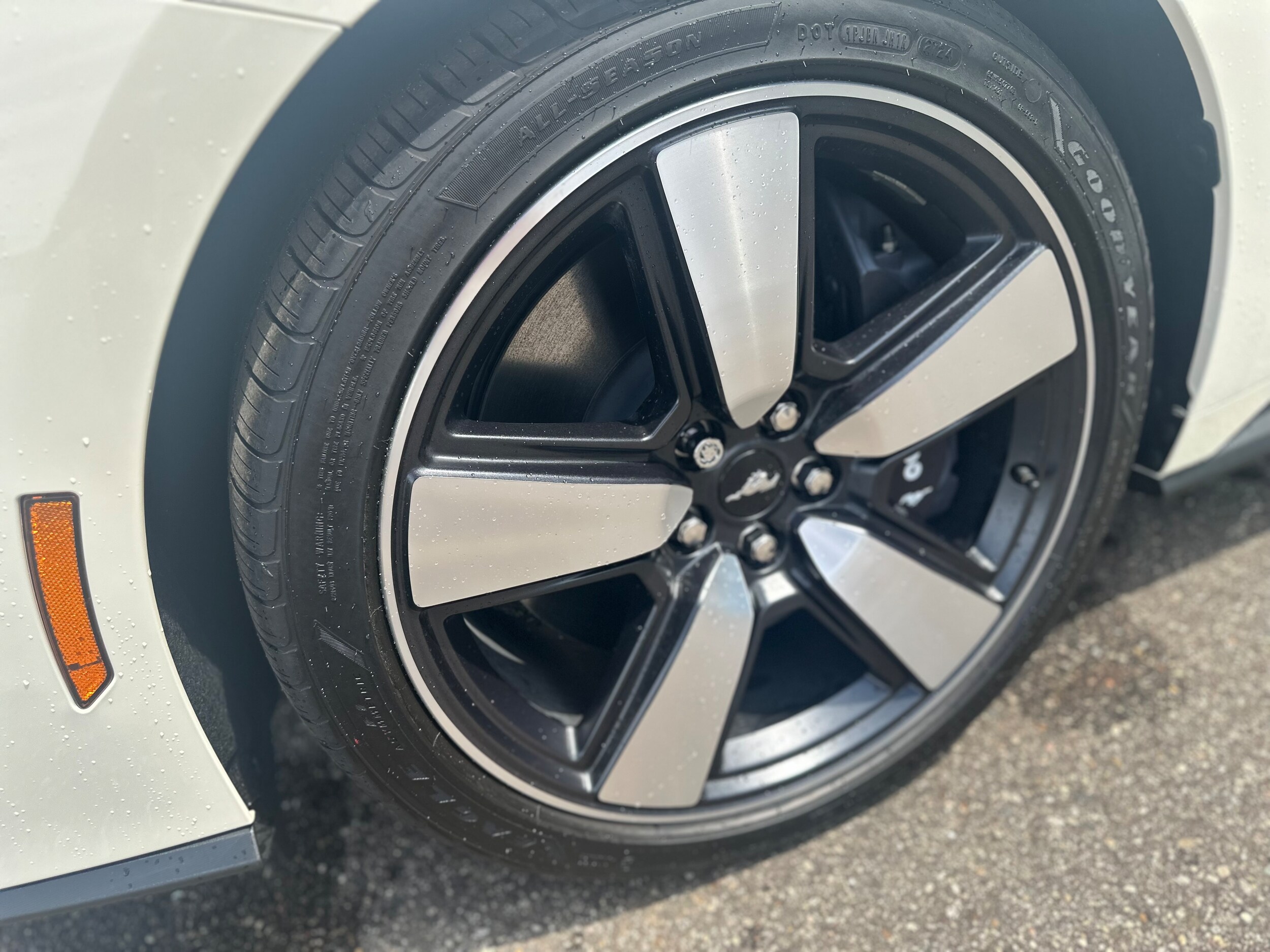 2025 Ford Mustang GT Premium Fastback - Photo 14