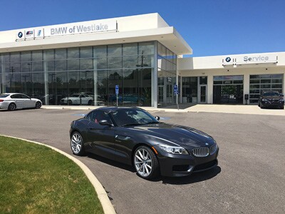 z41.jpg