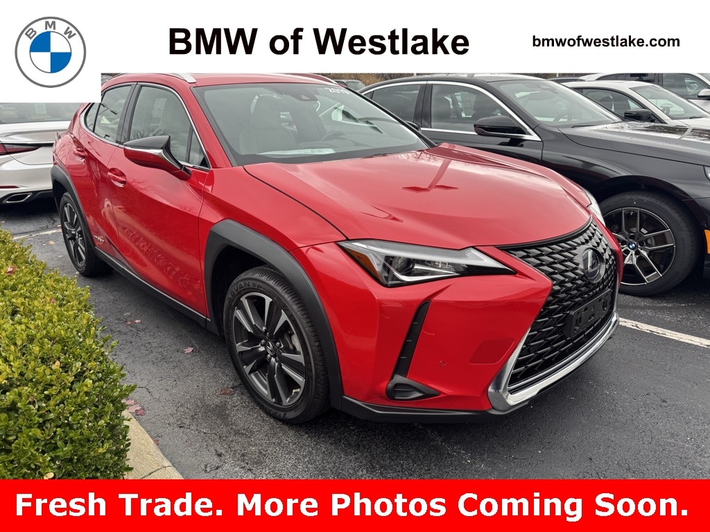 2019 Lexus UX Hybrid