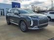 New 2024 Hyundai Palisade Calligraphy AWD SUV