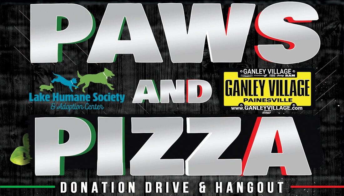 PAWS & PIZZA DONATION DRIVE AND HANGOUT
