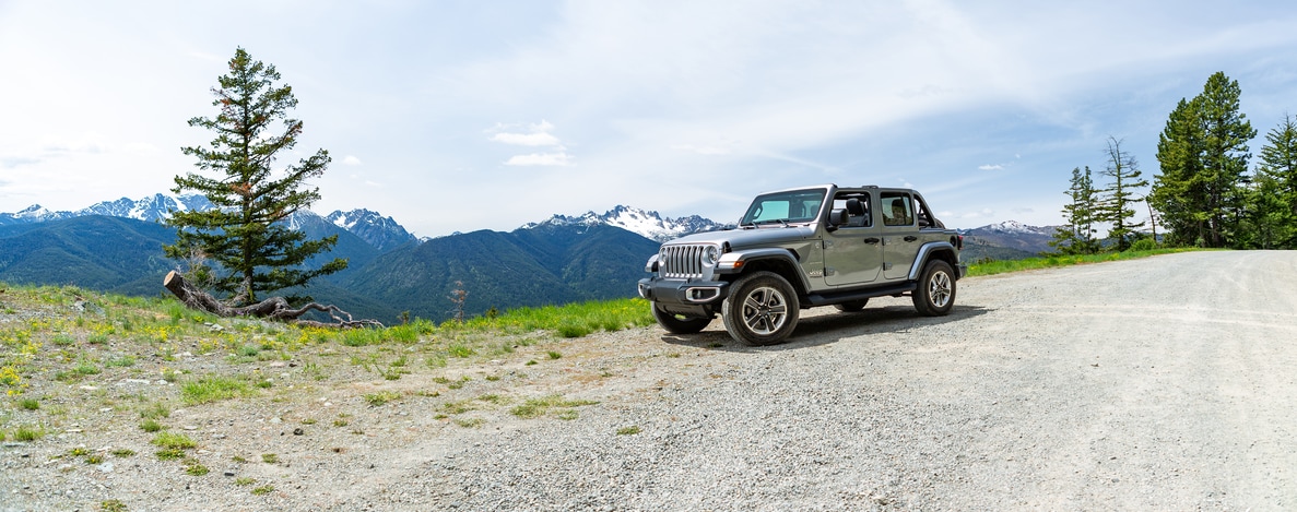 wrangler retailers