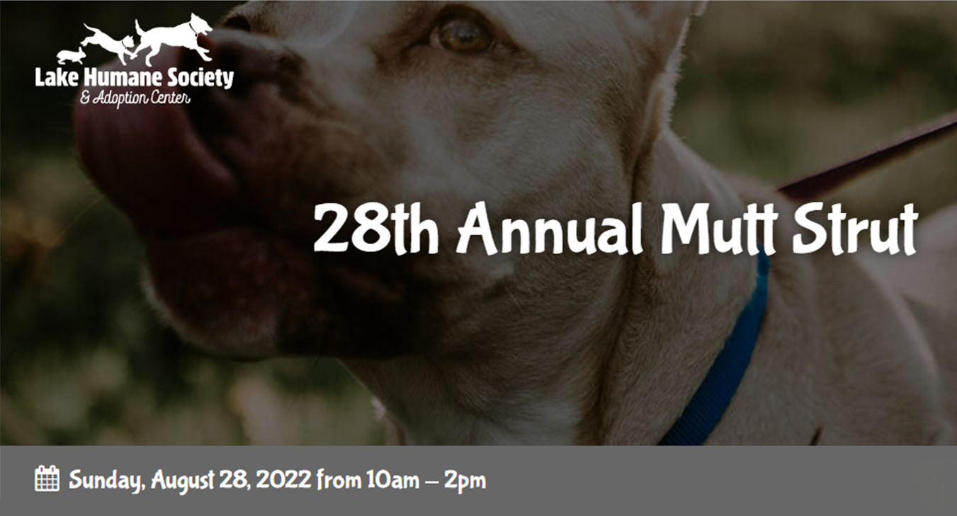 28th annual Mutt Strut- Lake Humane Society