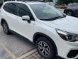 Used 2020 Subaru Forester Premium SUV