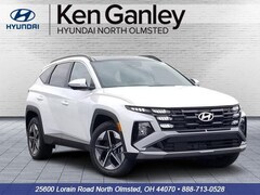2025 Hyundai Tucson Hybrid SEL Convenience SUV