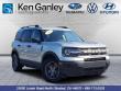Used 2022 Ford Bronco Sport Big Bend SUV