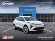  Chevrolet Bolt