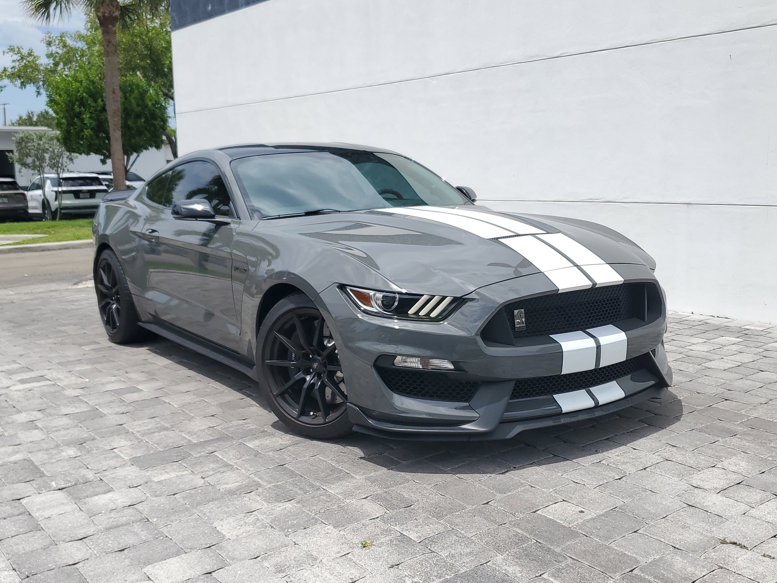 2018 Ford Mustang Shelby GT350's photo