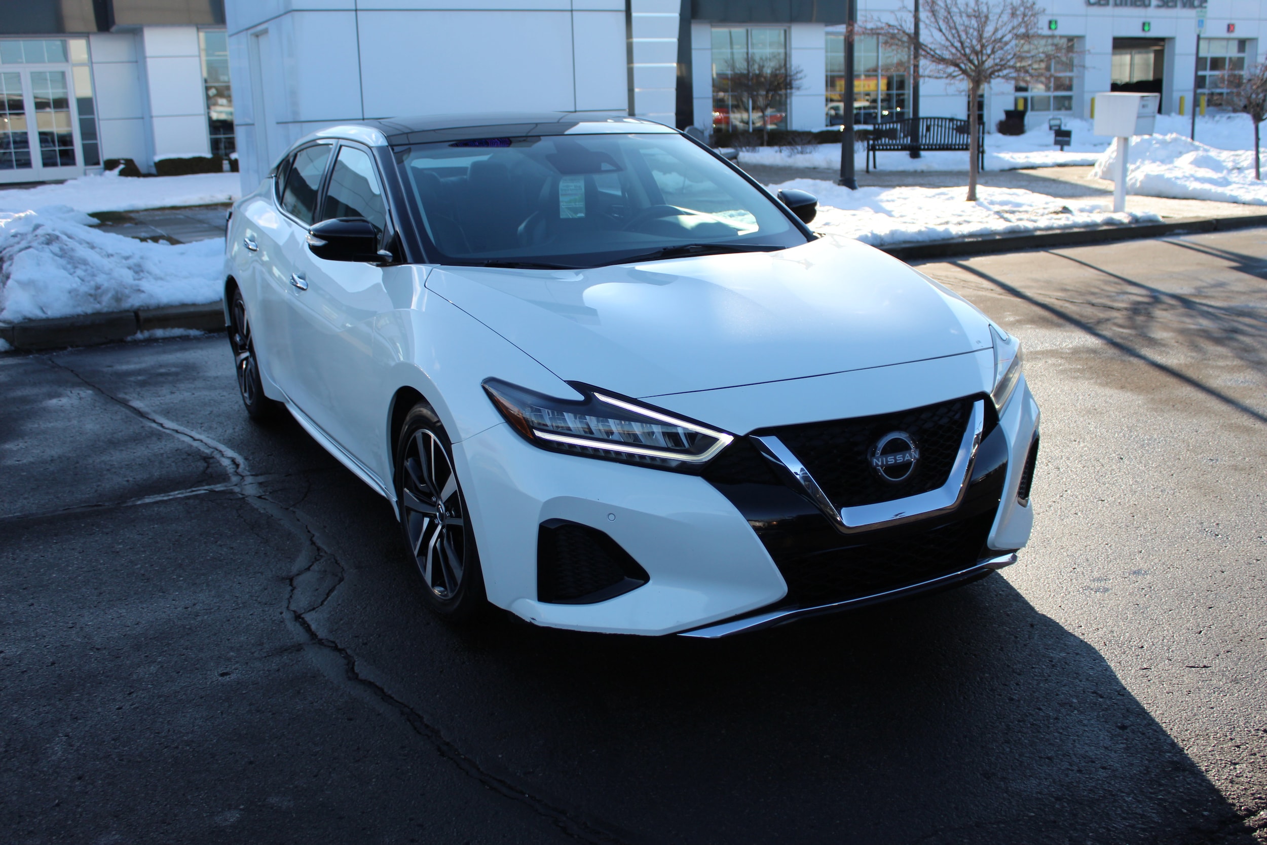 2023 Nissan Maxima SL's photo