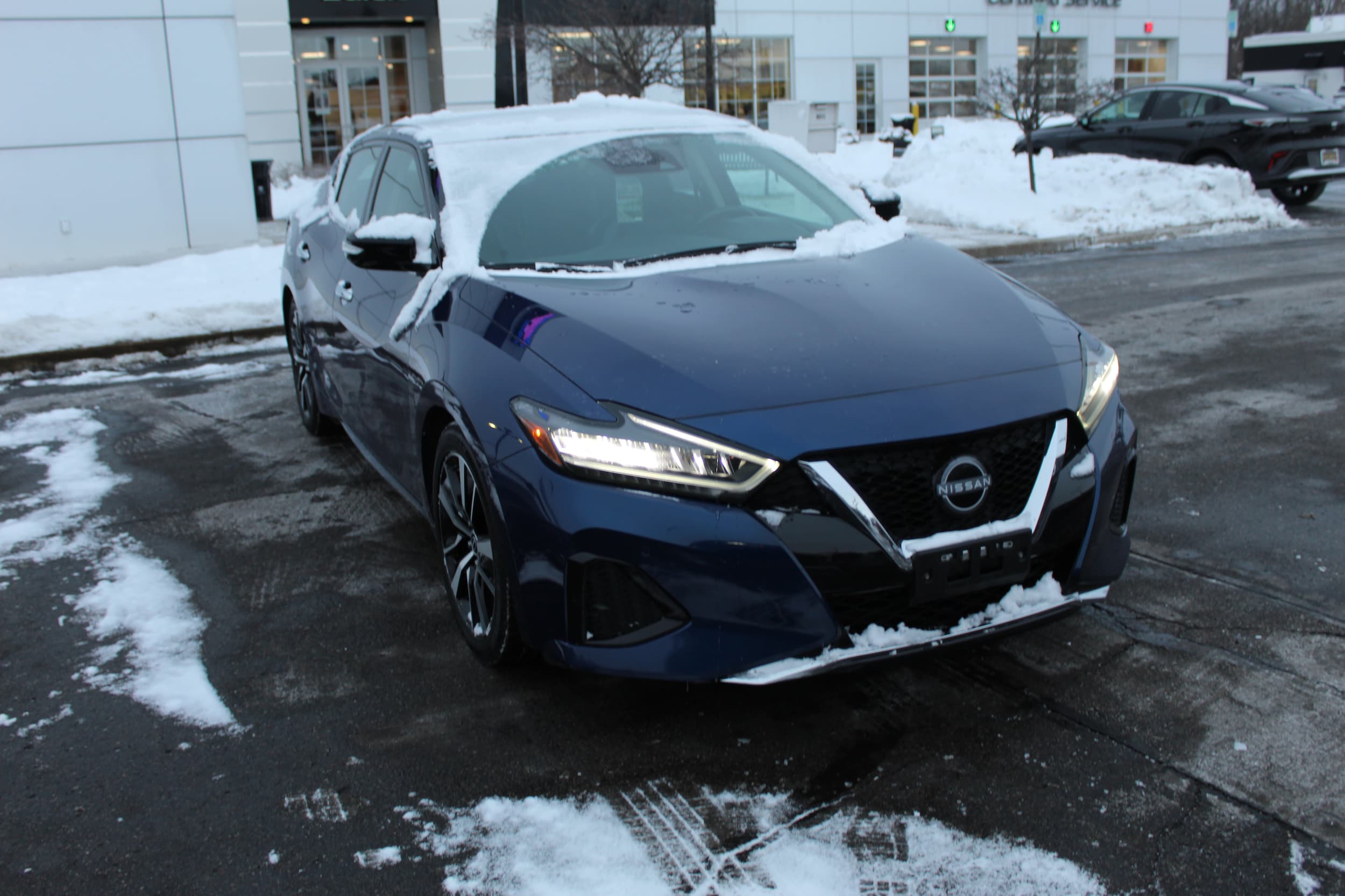 2023 Nissan Maxima SL's photo