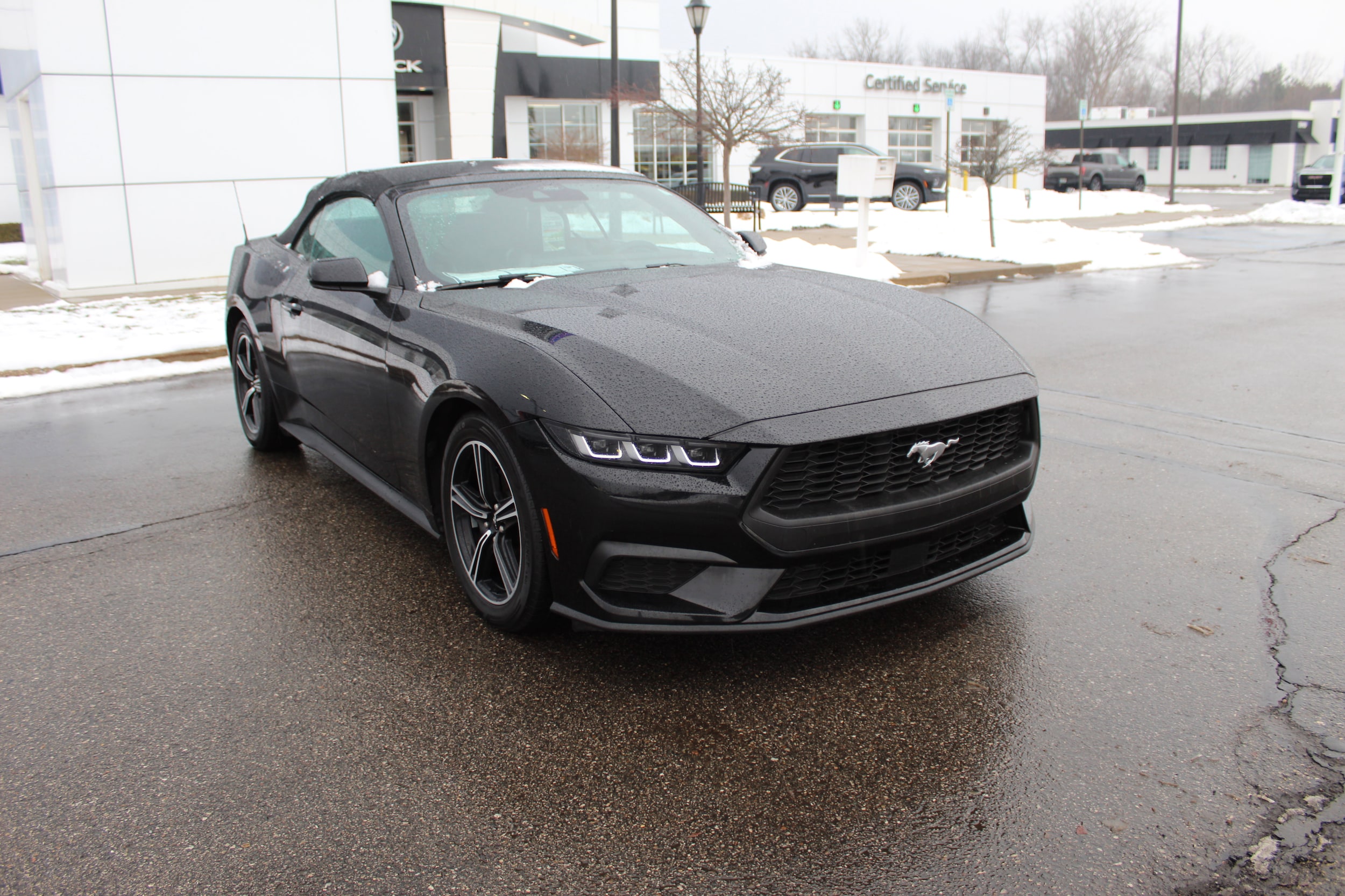 2024 Ford Mustang EcoBoost's photo