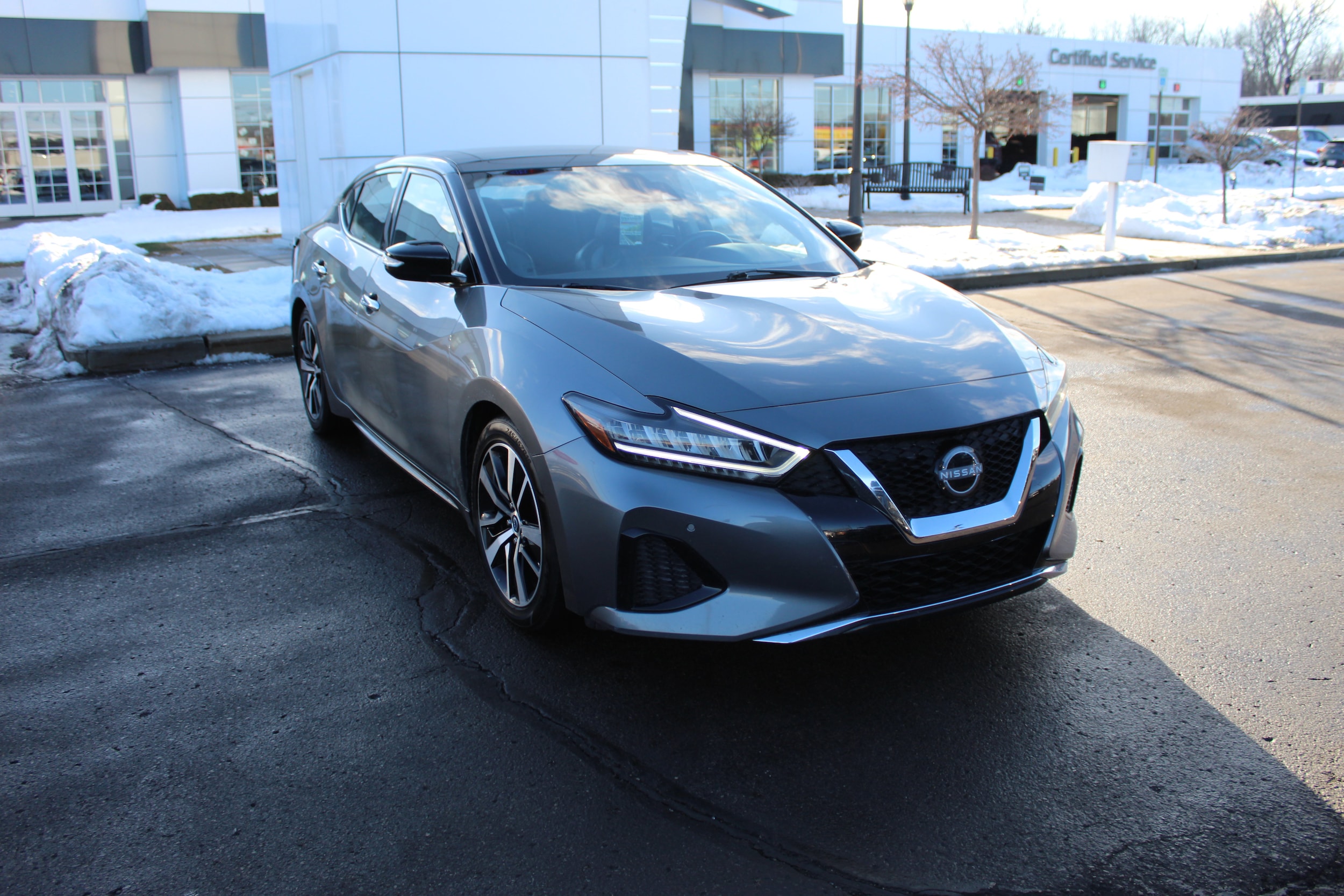 2023 Nissan Maxima SL's photo