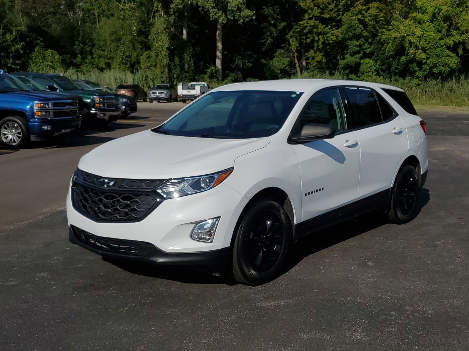 Used 2019 Chevrolet Equinox LS with VIN 3GNAXHEVXKS652145 for sale in Linwood, MI