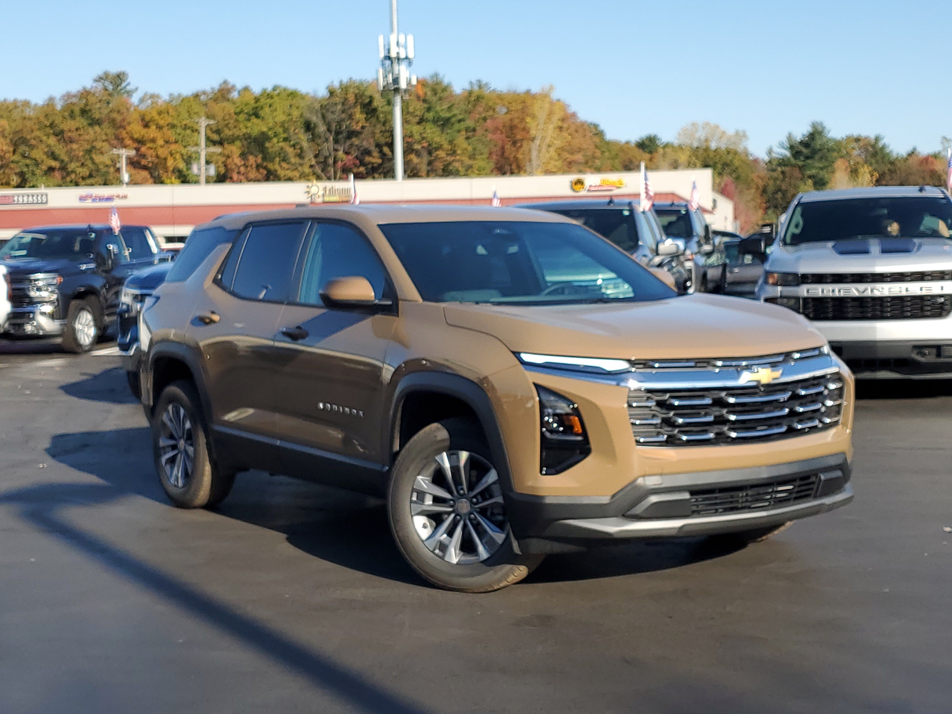  Chevrolet Equinox