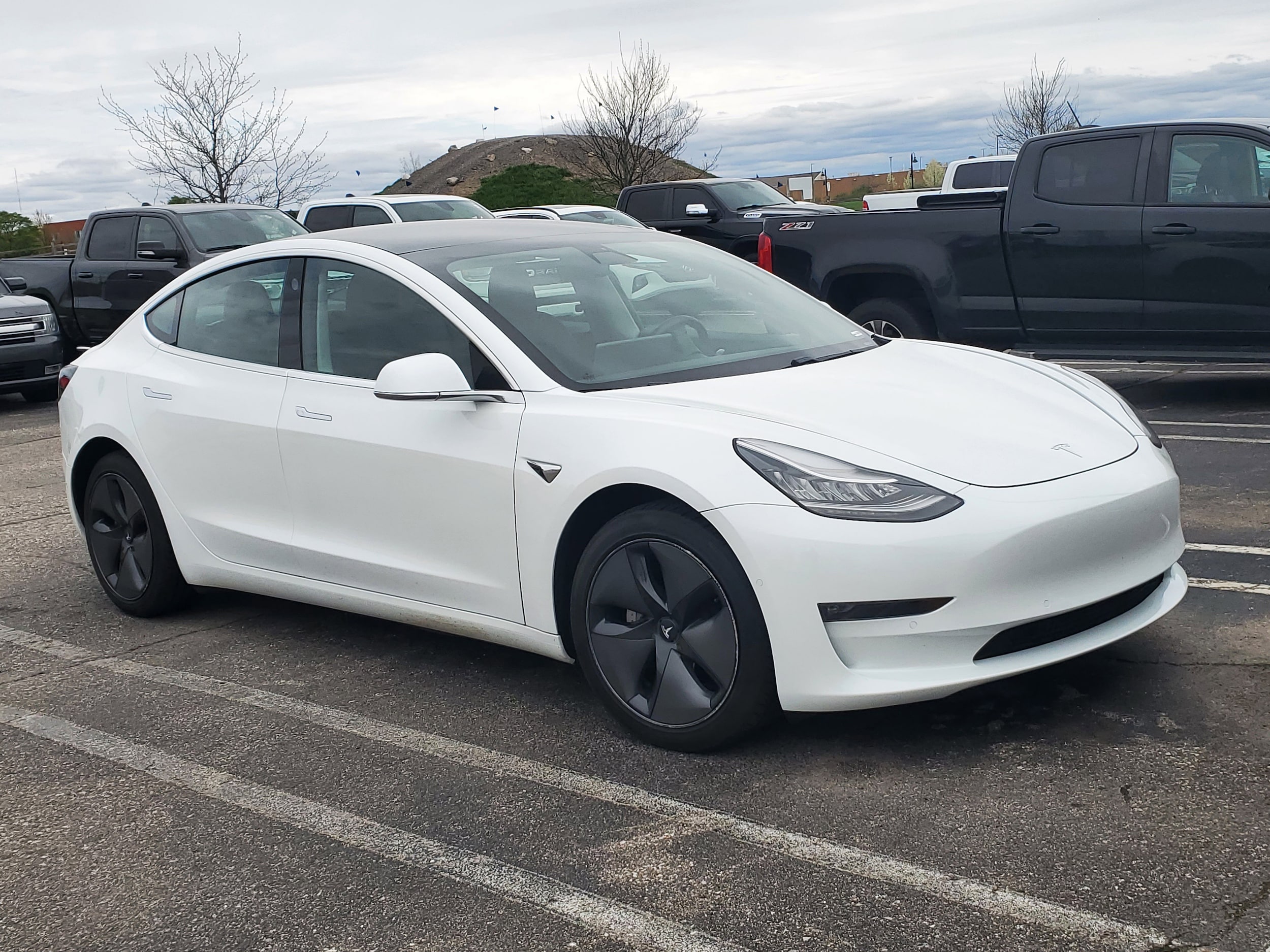 2020 Tesla Model 3 Long Range Dual Motor All-Wheel Drive's photo
