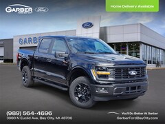 2025 Ford F-150 STX Truck