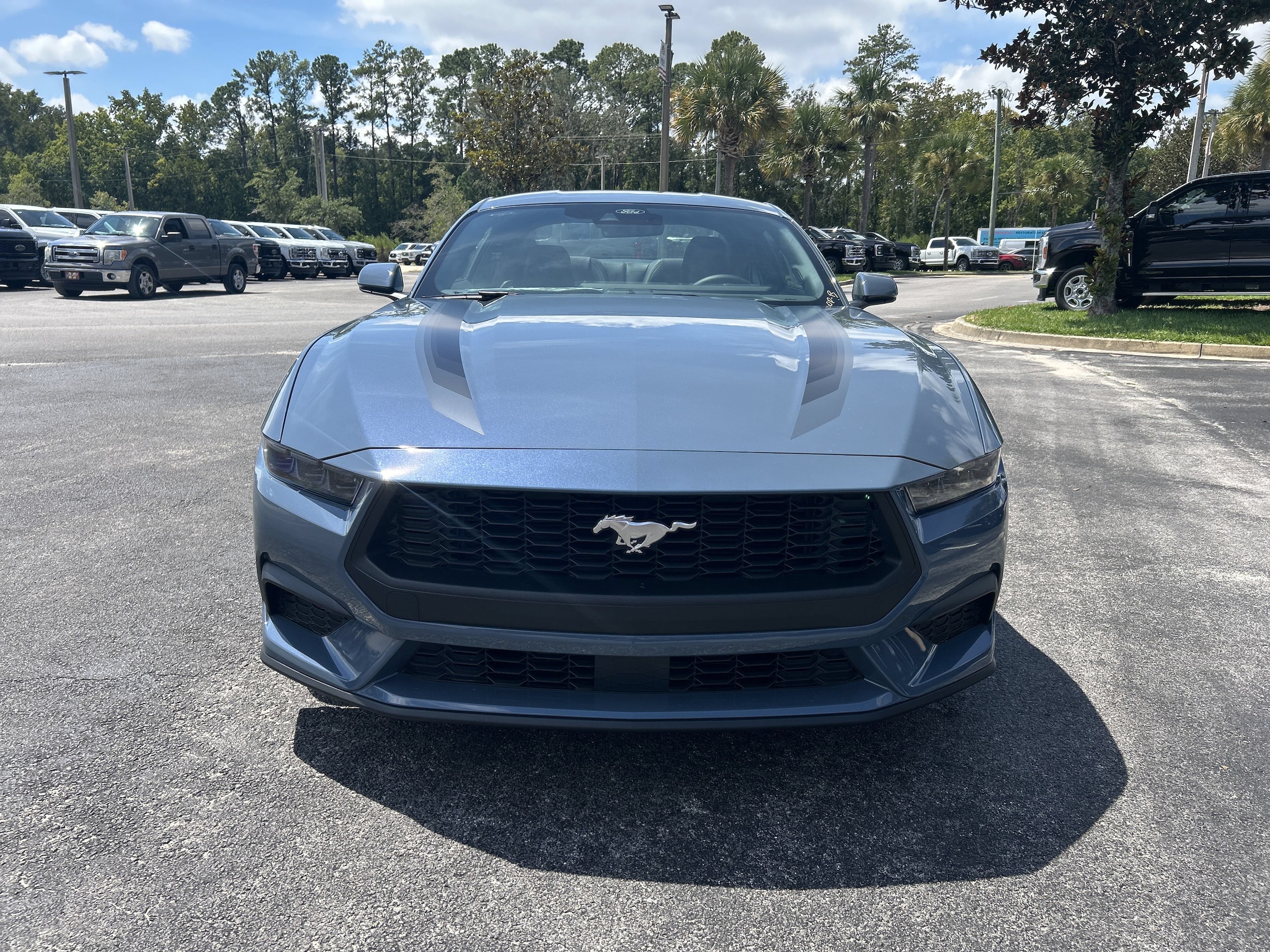 2025 Ford Mustang EcoBoost Premium Fastback - Photo 8