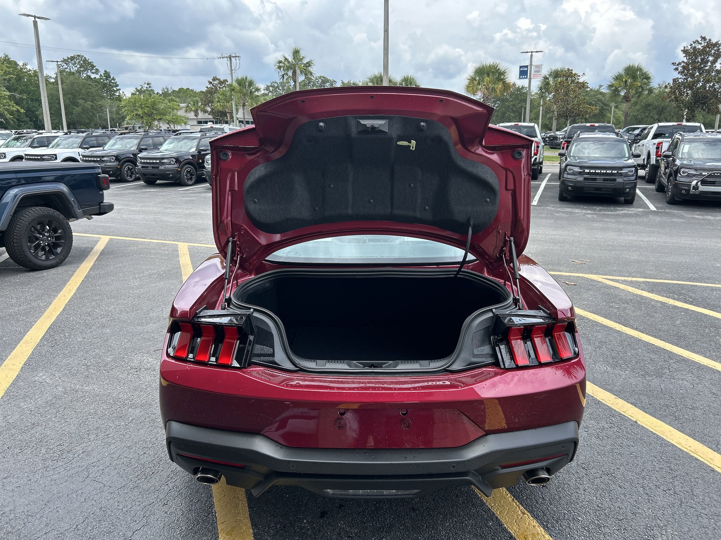 2025 Ford Mustang EcoBoost Premium Fastback - Photo 7