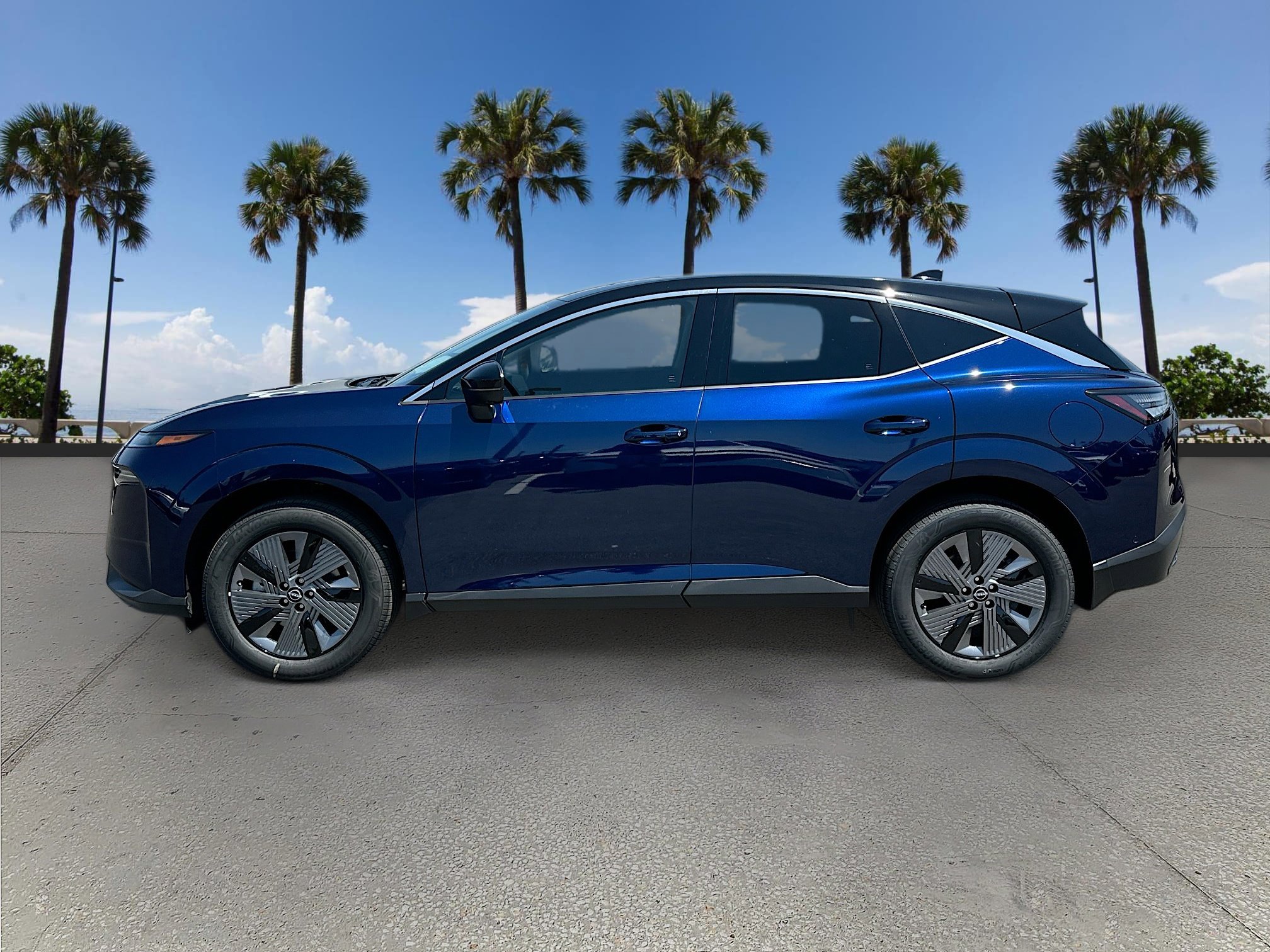 2025 Nissan Murano SL photo 3
