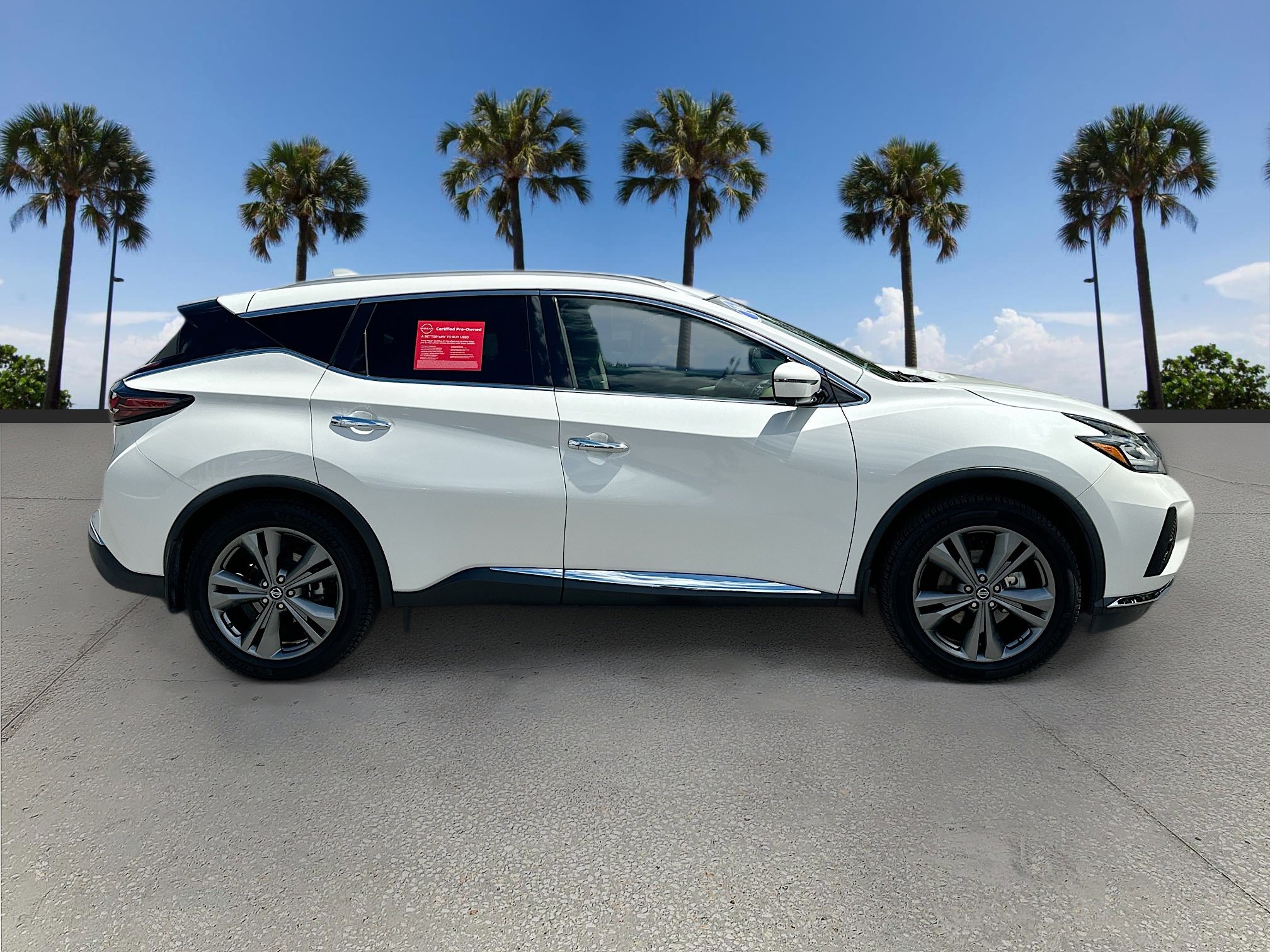 2019 Nissan Murano Platinum photo 4