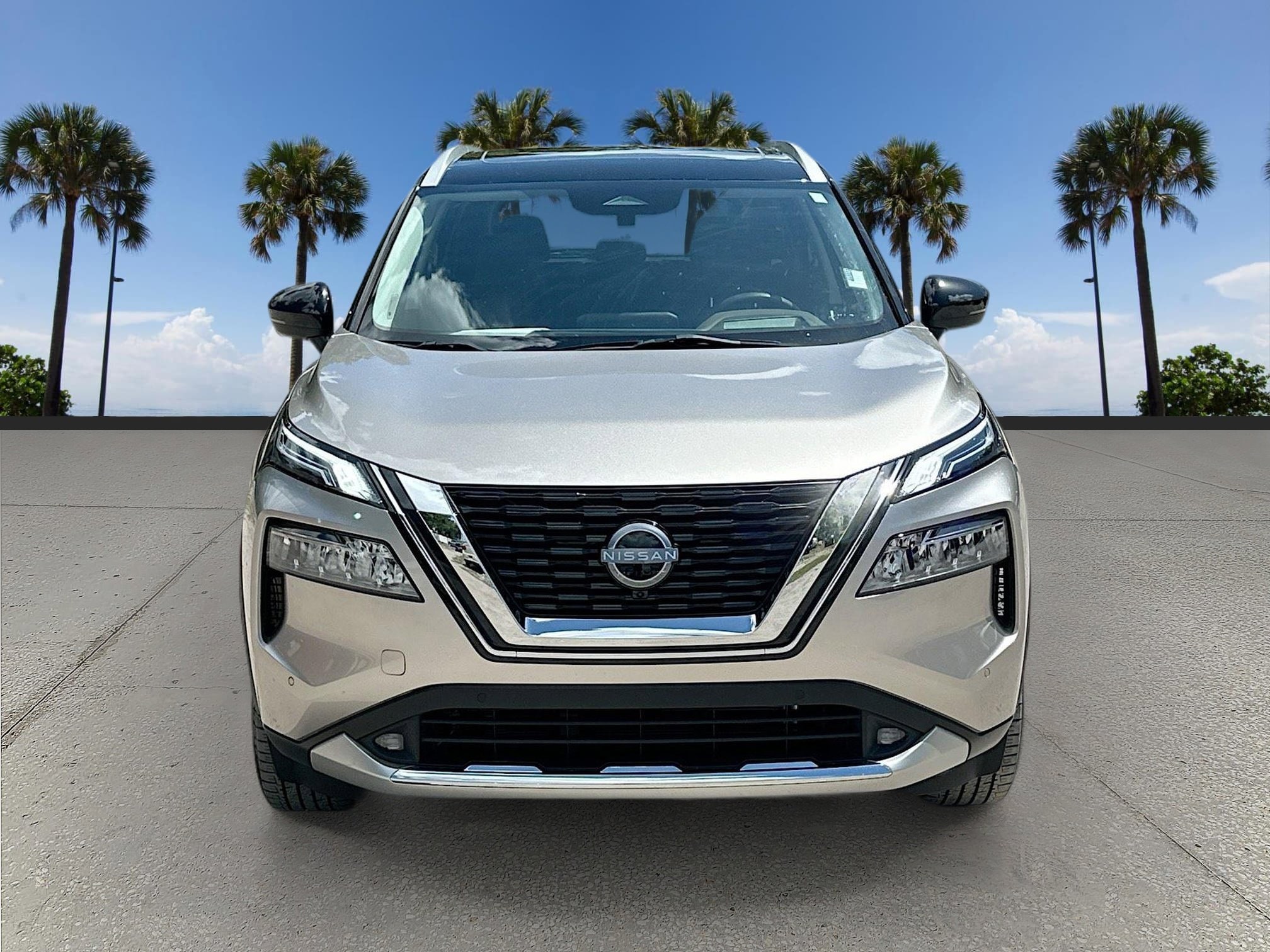 2022 Nissan Rogue Platinum photo 2