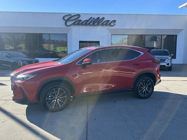 2022 Lexus NX Hybrid 350h's photo