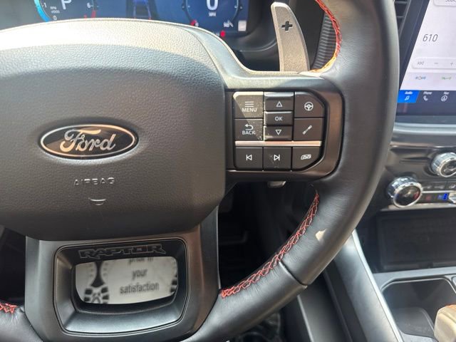 2025 Ford F-150 Raptor - Photo 16