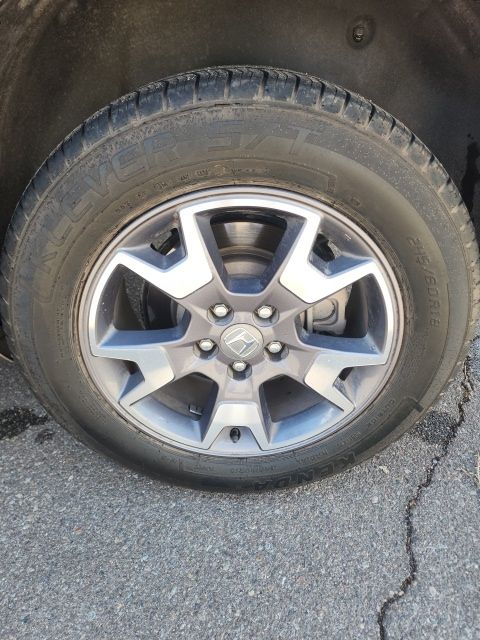Photo 19