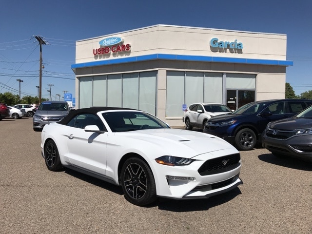 Ford Dealership Albuquerque >> Used 2019 Ford Mustang For Sale Albuquerque Nm 1fatp8uh8k5109499 Ford Dealership Albuquerque >> Used 2019 Ford Mustang For Sale Albuquerque Nm 1fatp8uh8k5109499