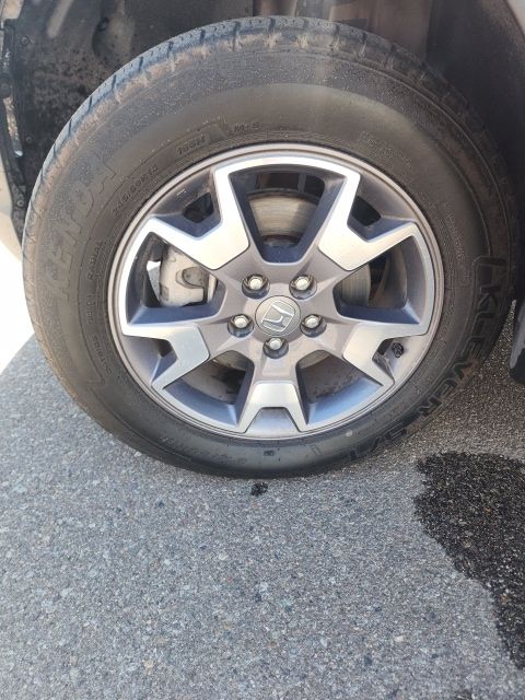 Photo 16