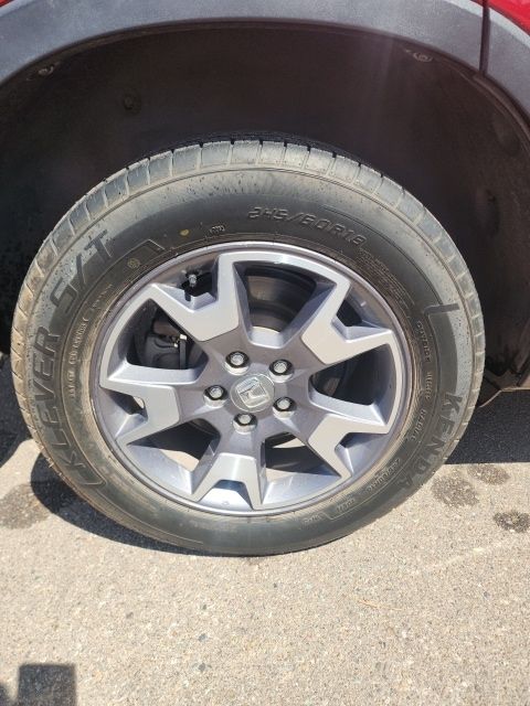 Photo 18
