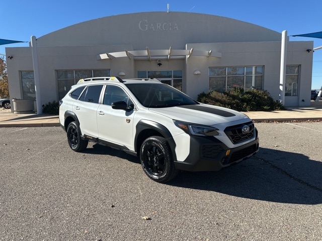 2025 Subaru Outback Wilderness's photo