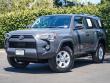 Used 2024 Toyota 4Runner SR5 Premium SUV