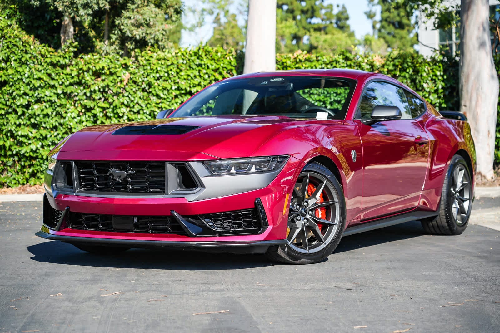 2025 Ford Mustang Dark Horse's photo