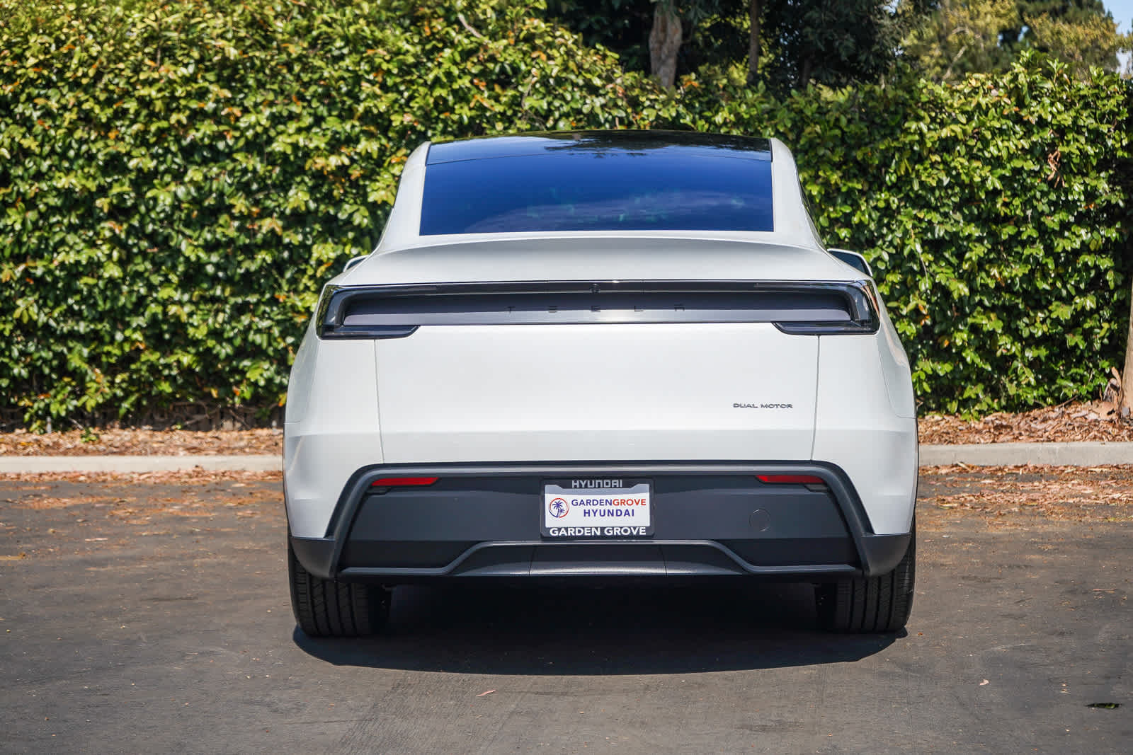 Thumbnail: 2026 Tesla Model Y - 5