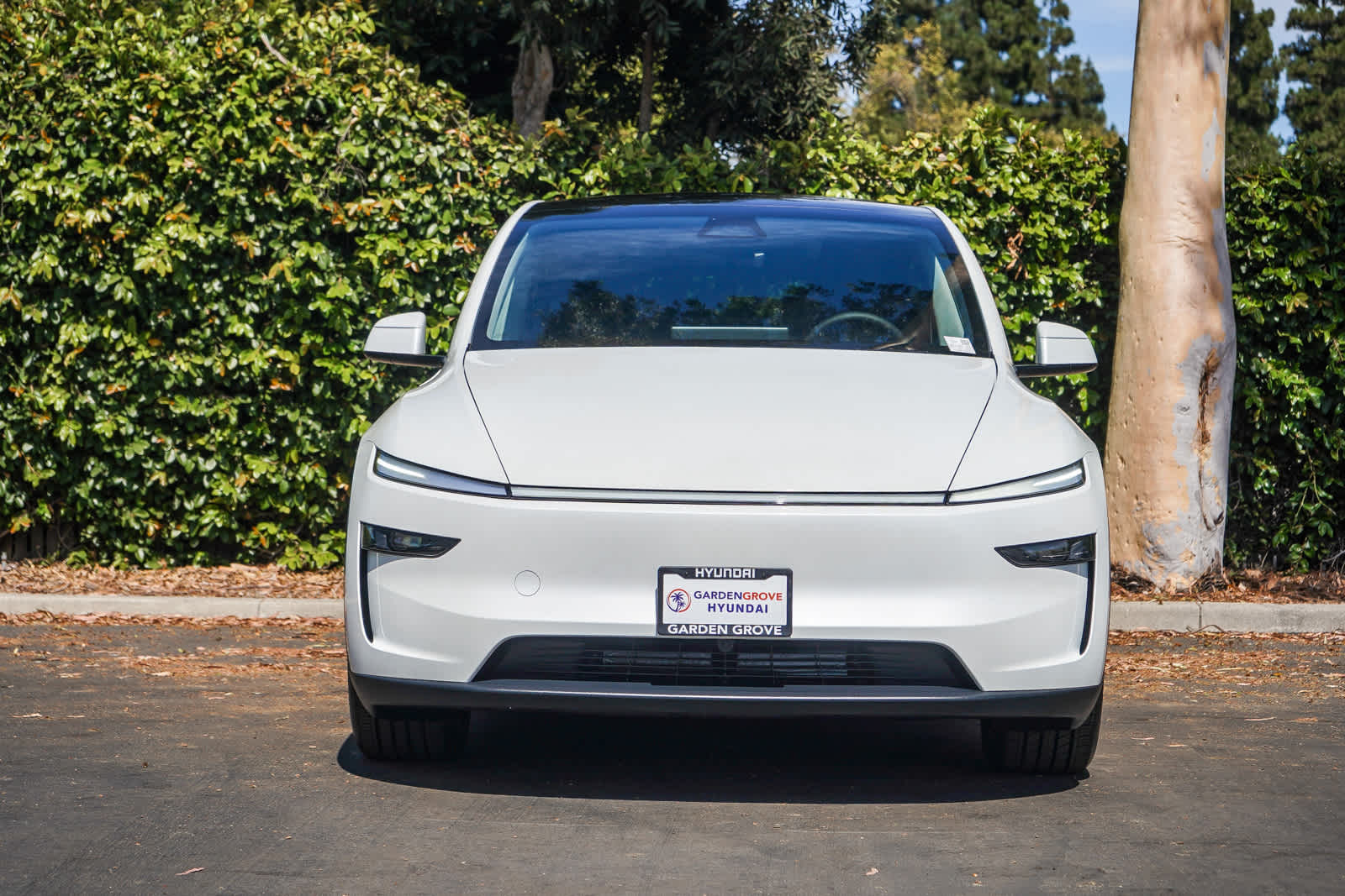 Used 2026 Tesla Model Y Long Range Launch Series with VIN 7SAYGDEE7TF545342 for sale in Garden Grove, CA