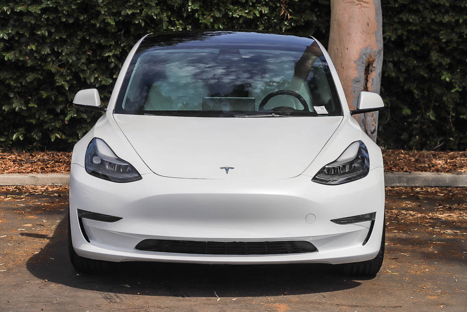 Used 2022 Tesla Model 3 Performance with VIN 5YJ3E1EC7NF296313 for sale in Garden Grove, CA